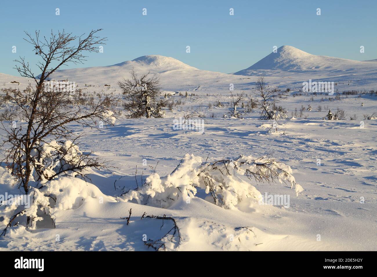 Spidsbergseter, Rondane National Park, Norway. View looking towards the conical-shaped Skjerefjellet Stock Photo