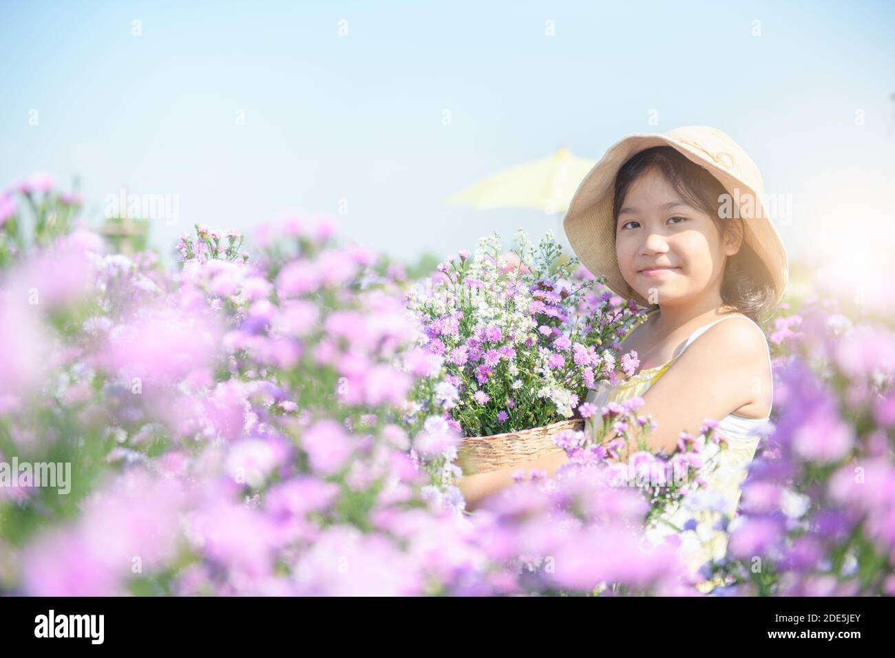Cute girl and Michaelmas Daisy or New York Aster flower field, Chiang Mai most popular photography destinations Stock Photo