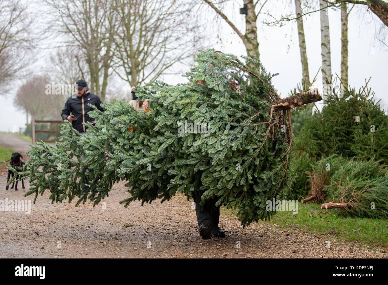 Digby farm hires stock photography and images Alamy