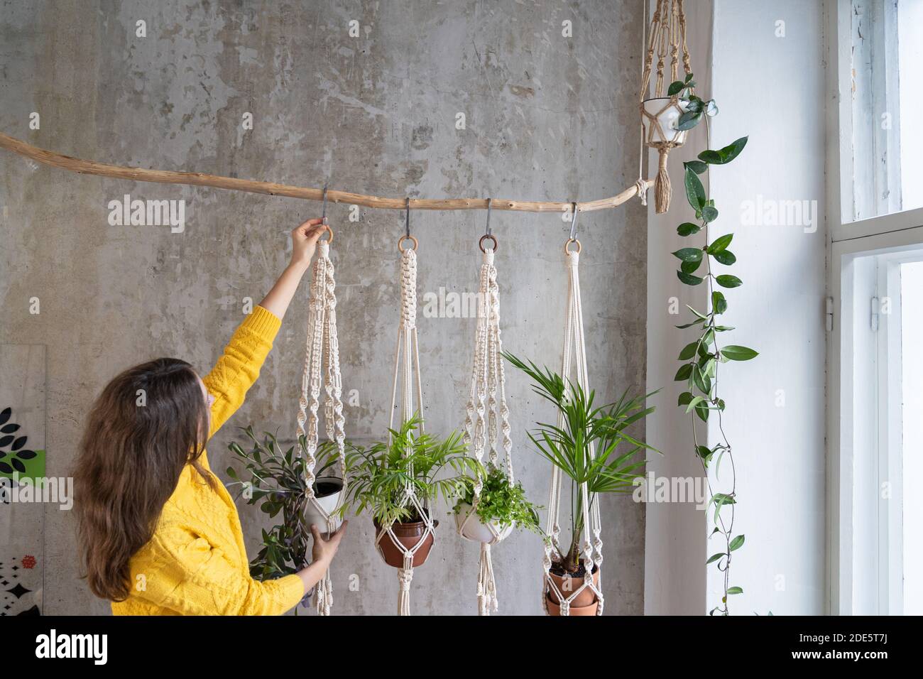 Woman gardener holding macrame plant hanger with houseplant over grey wall. Hobby, love of plants, home decoration concept. Stock Photo