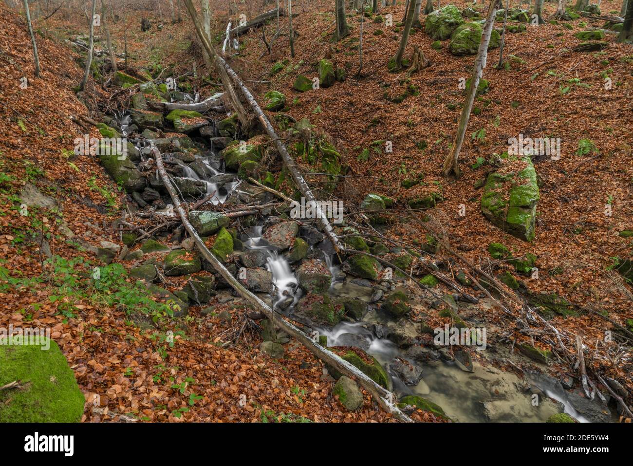 Cascade and creek Bystricka near Bystrice pod Hostynem town in east Moravia in cold autumn day Stock Photo