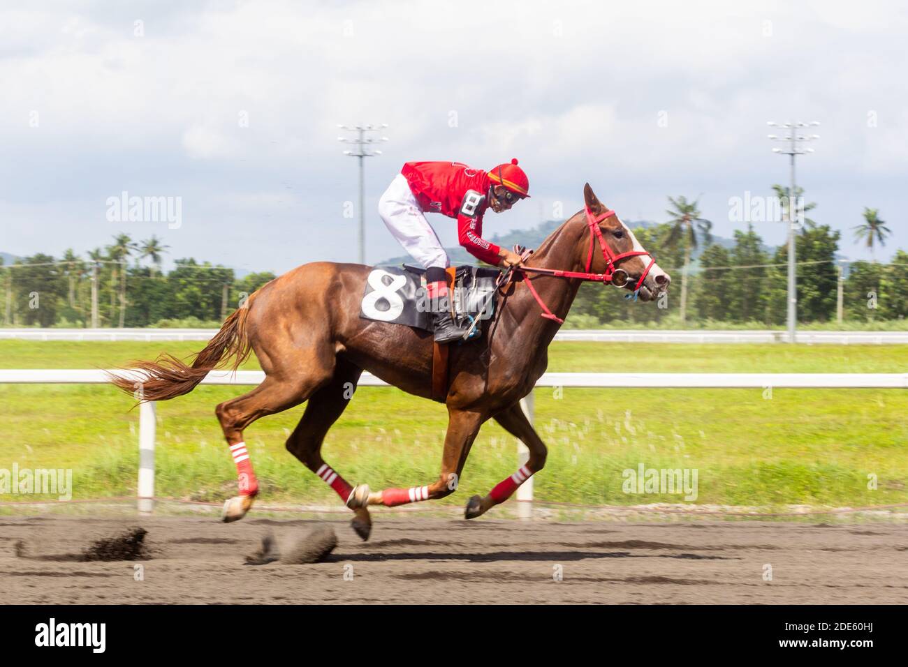 Philippine horse racing hires stock photography and images Alamy