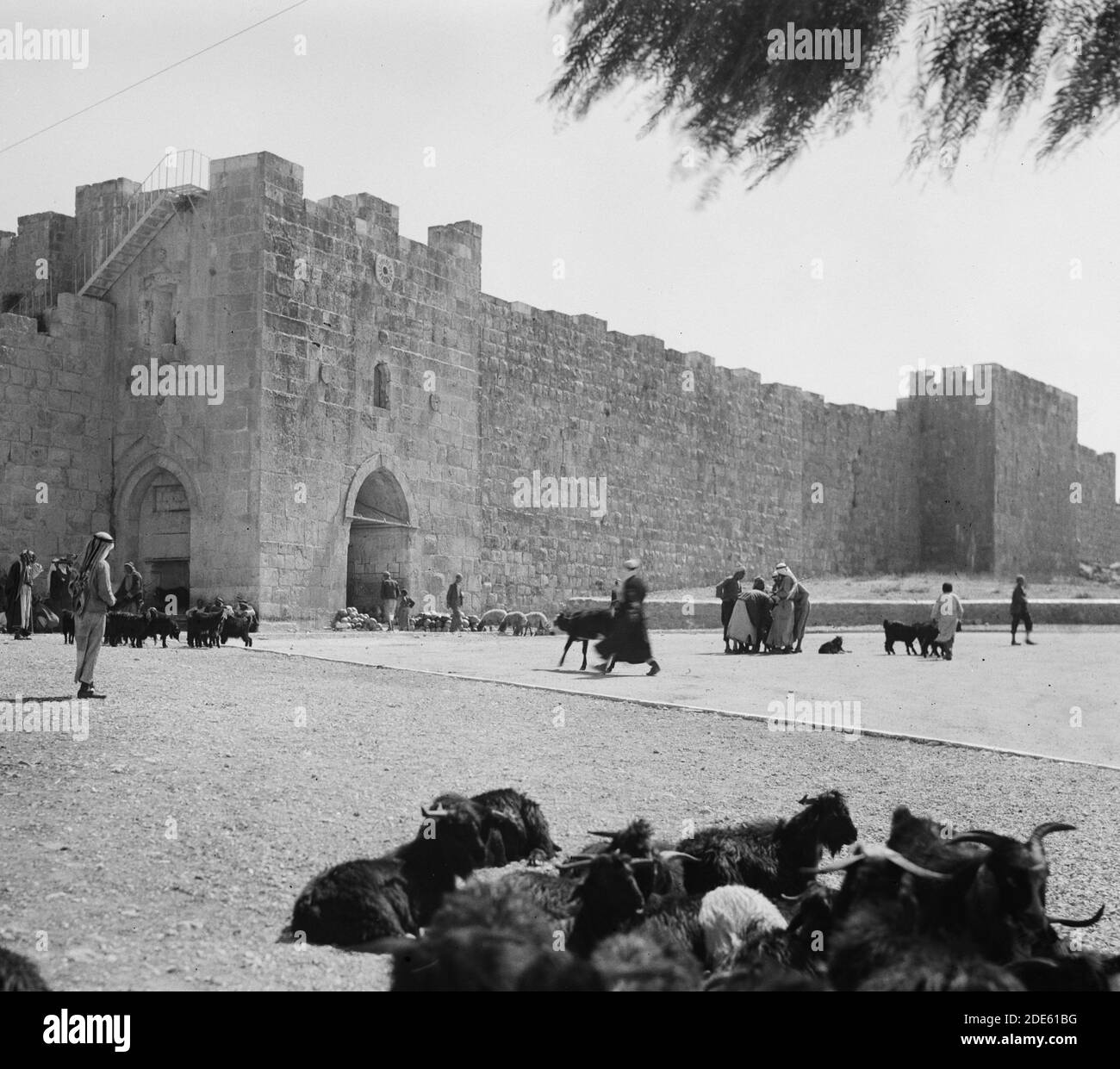 Herod's gate Black and White Stock Photos & Images - Alamy