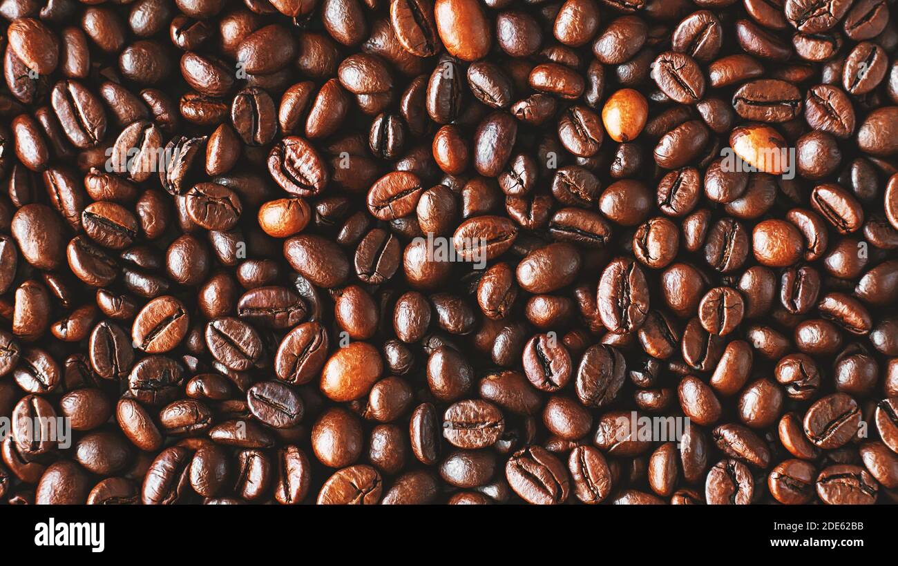 quality roasted aromatic coffee beans 