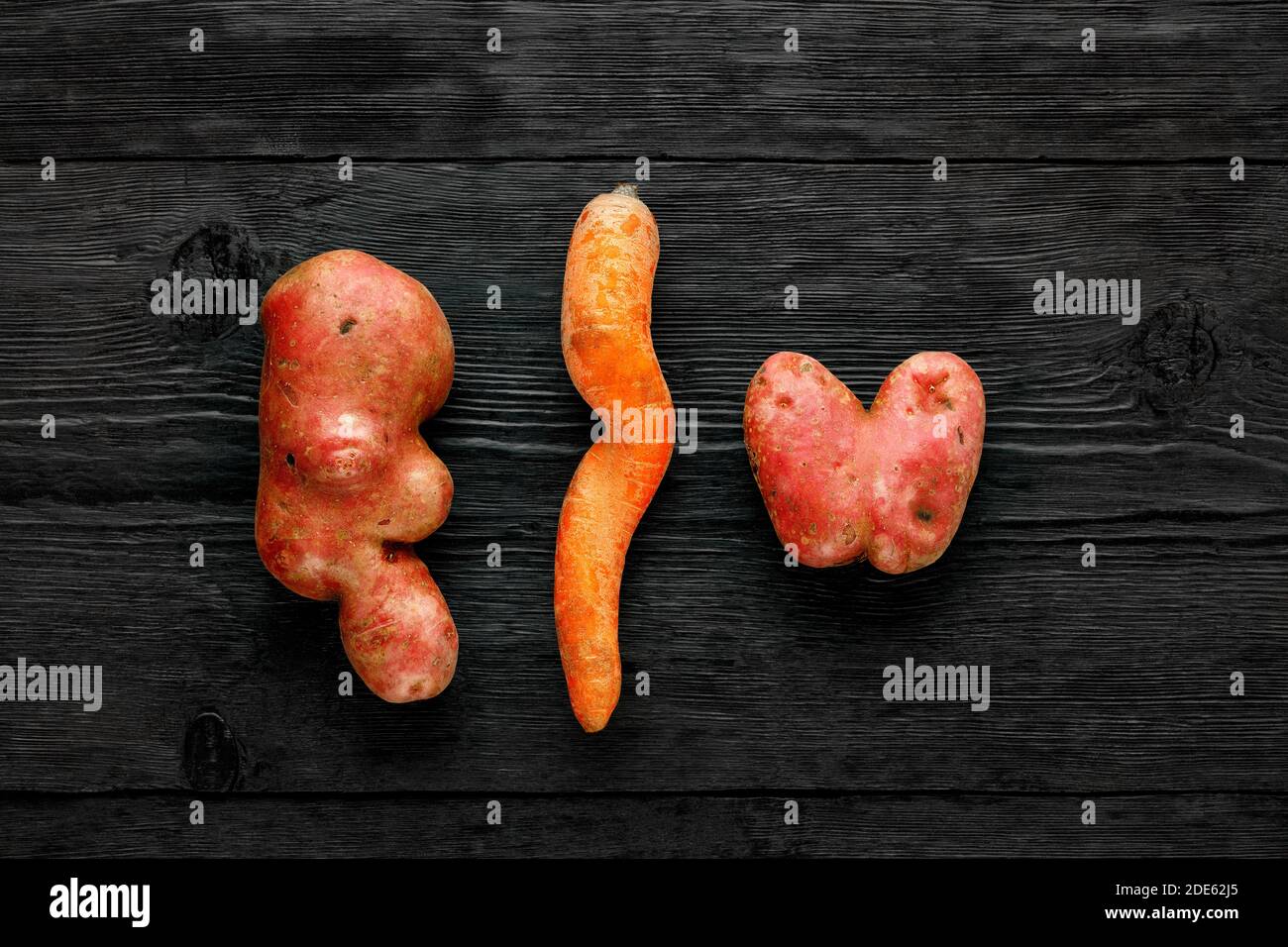 Nice vegetables. Two potatoes of a strange ugly shape and twisted carrots on a black wooden background. Stock Photo