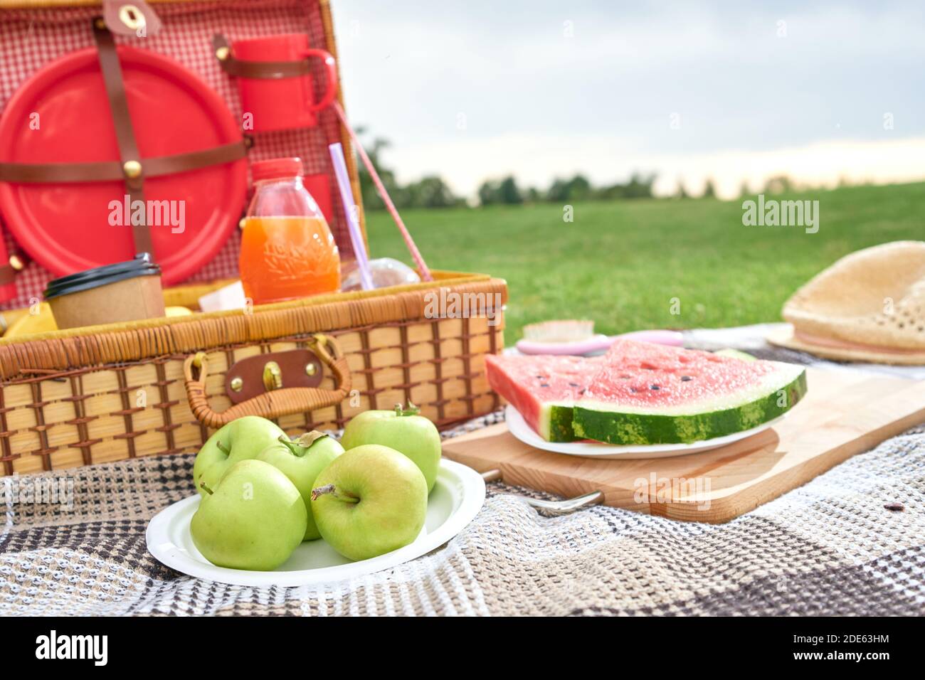 Picnic in nature. Picnic basket with fruits on checkered blanket in the ...