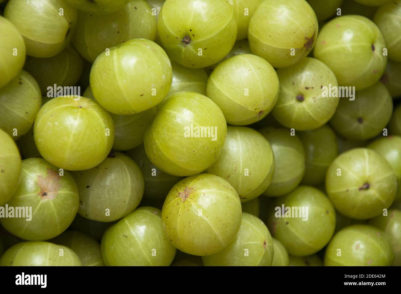 A stack of green berries displayed on the market Stock Photo - Alamy