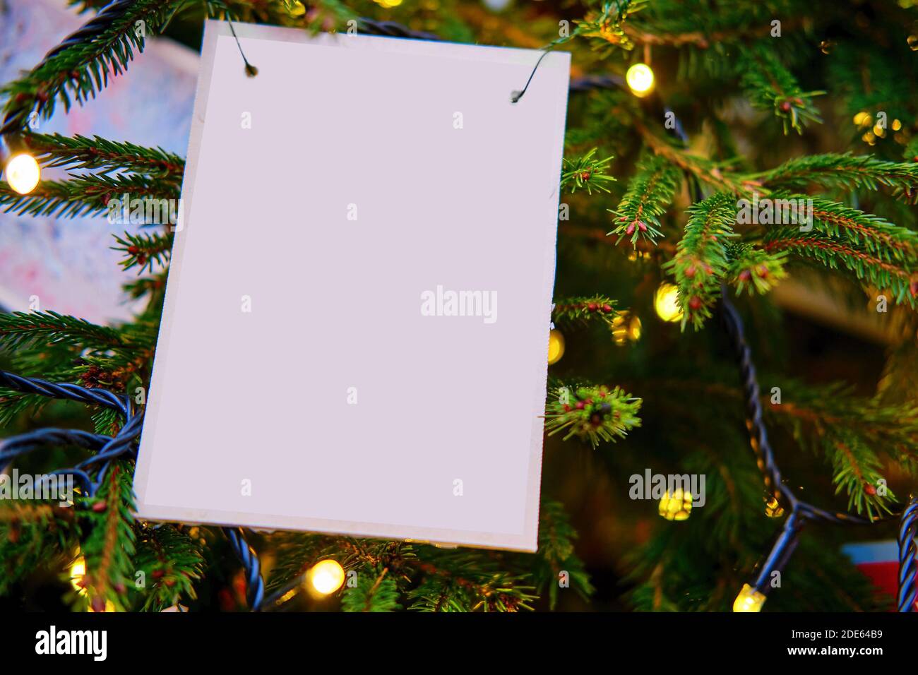 Old postcard on a Christmas tree, mockup. Garland lights and decoration ...