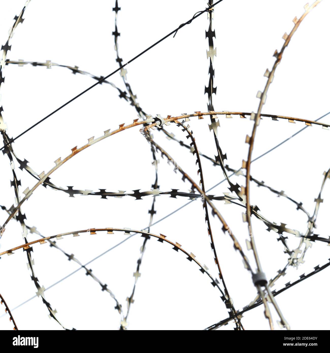 Barricade of barbed wire Cut Out Stock Images & Pictures Alamy