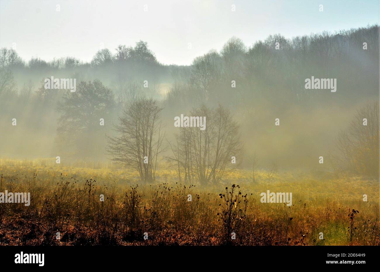 A beautiful golden autumn landscape on a cloudy sky Stock Photo - Alamy