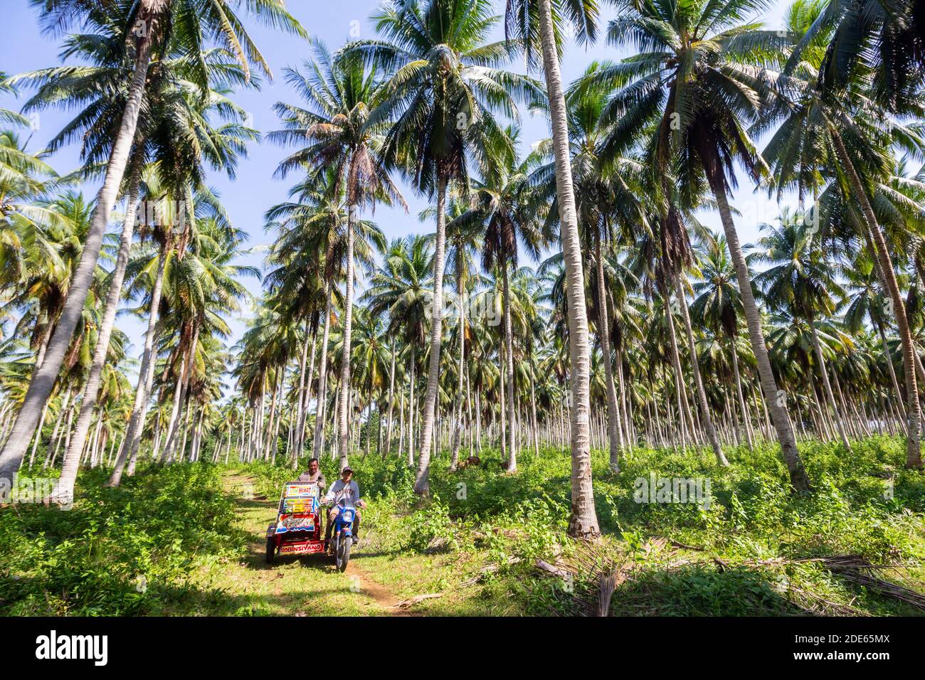 An open tricycle at a coconut plantation in Sulu, Philippines Stock