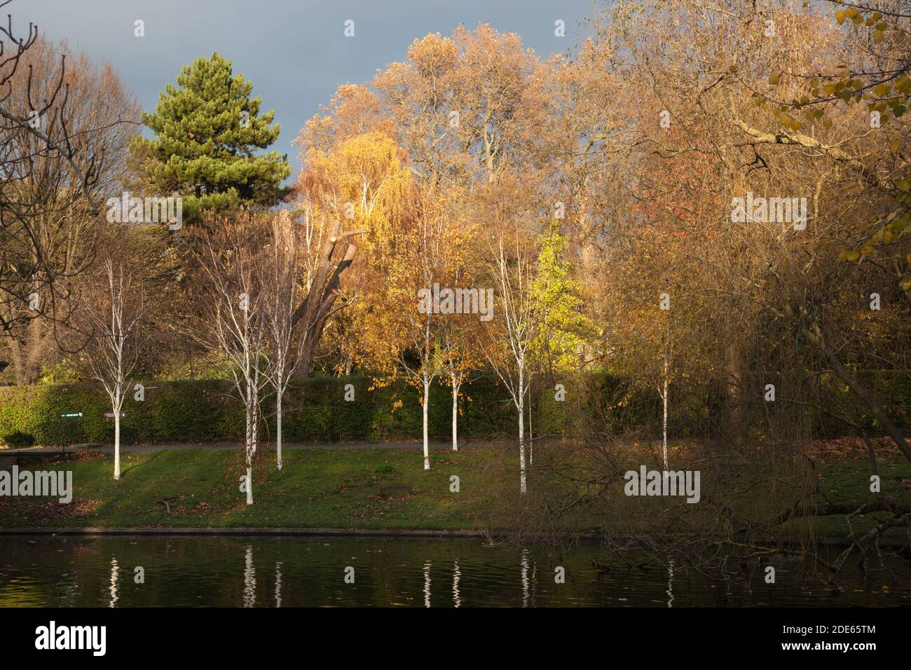 Regents Park, London, UK Stock Photo