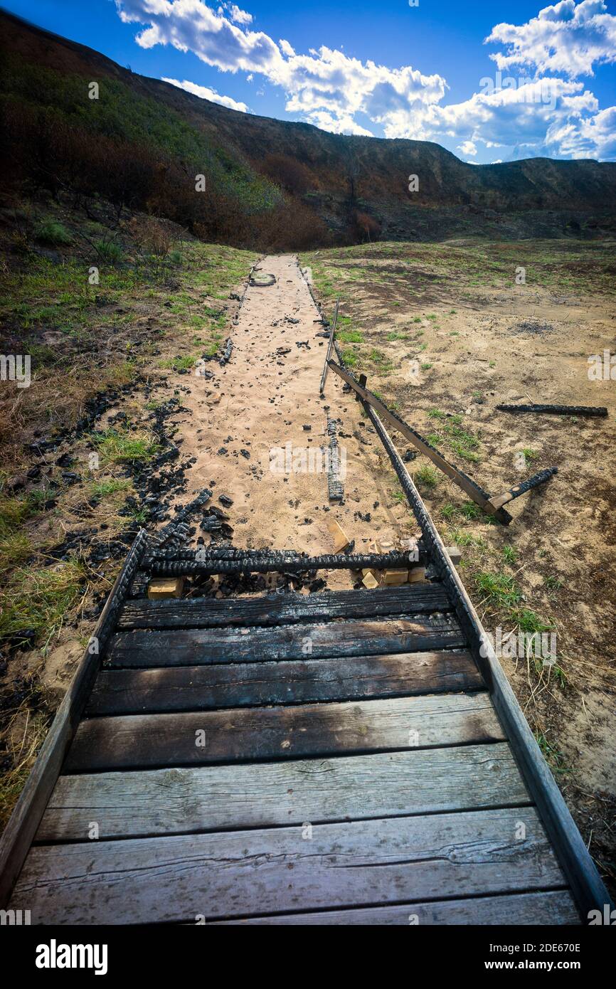 Punta Penne nature reserve, Vasto, Abruzzo, Italy: the wooden platform of the reserve after the fire of August 2020 Stock Photo