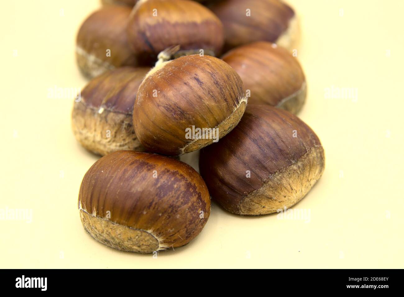 In the foreground on a white background a group of chestnuts. The basis of autumn cuisine. Stock Photo