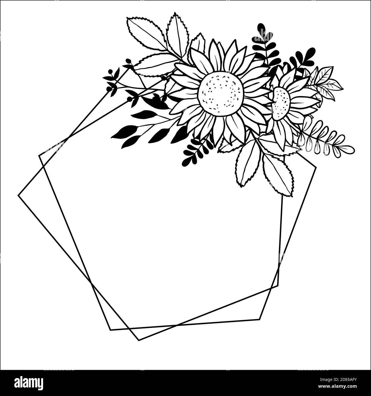 Vector image of hand drawn sunflowers Stock Vector Image & Art - Alamy