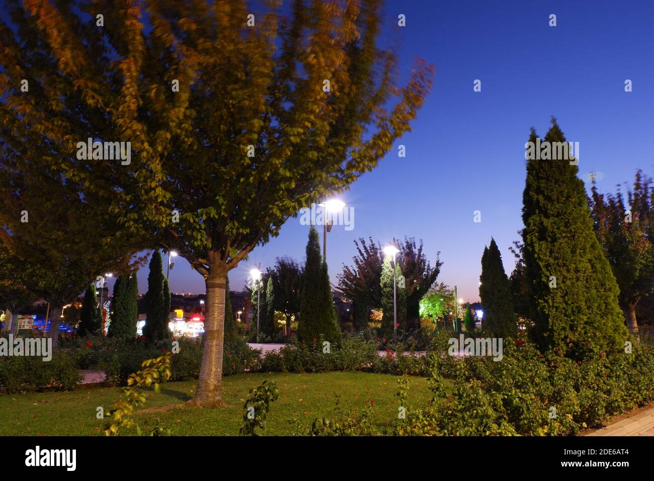 Long Exposure photo of park at night Stock Photo