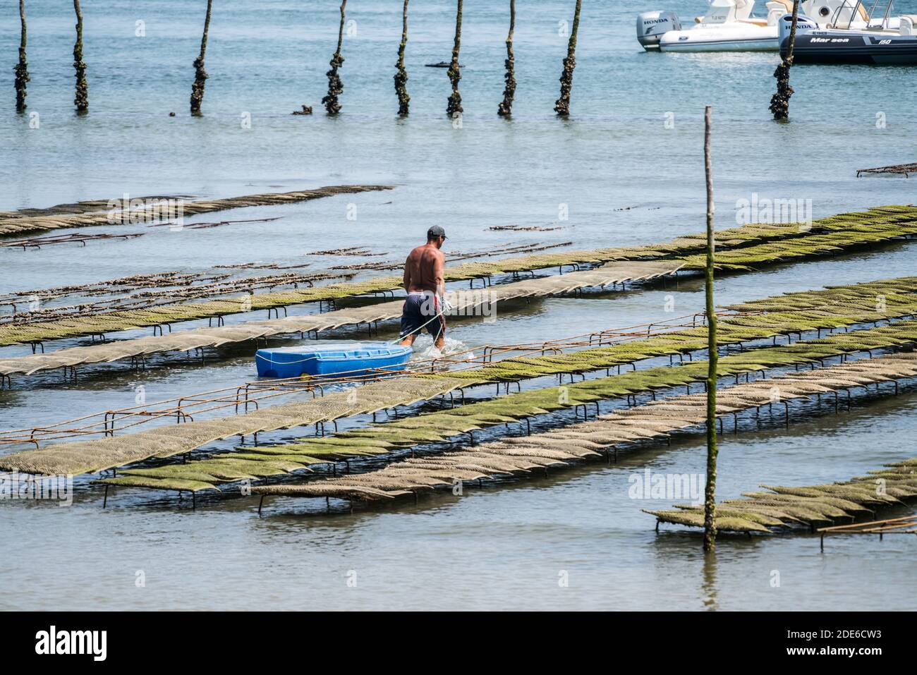 oyster farm, Arcachon, France, Europe Stock Photo Alamy