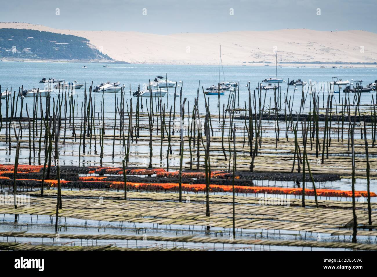 oyster farm, Arcachon, France, Europe Stock Photo Alamy