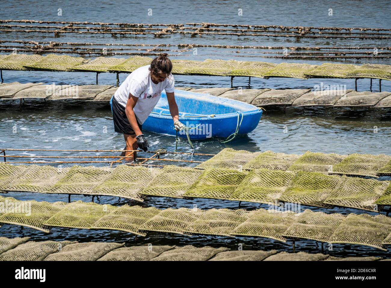 oyster farm, Arcachon, France, Europe Stock Photo Alamy