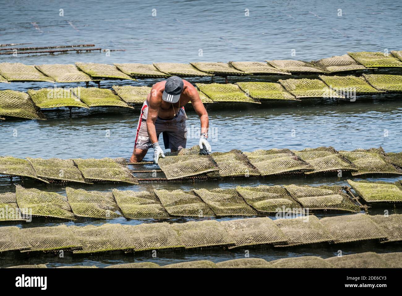 oyster farm, Arcachon, France, Europe Stock Photo Alamy