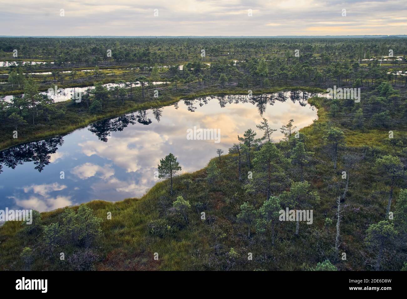 Raised bog, view from above. Kemeri National park in Latvia. Sunset Stock Photo