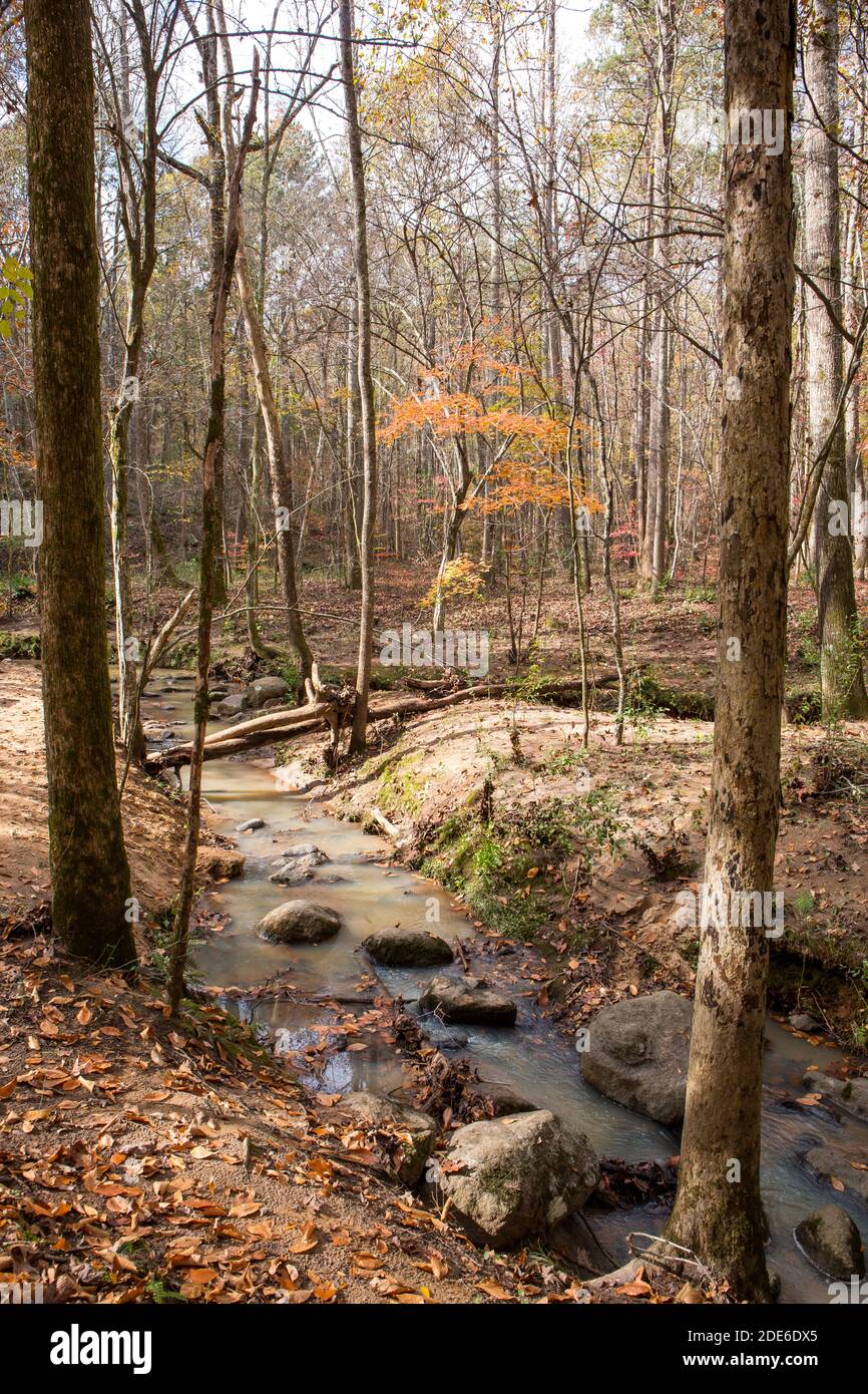 Rocky stream through woods hi-res stock photography and images - Alamy