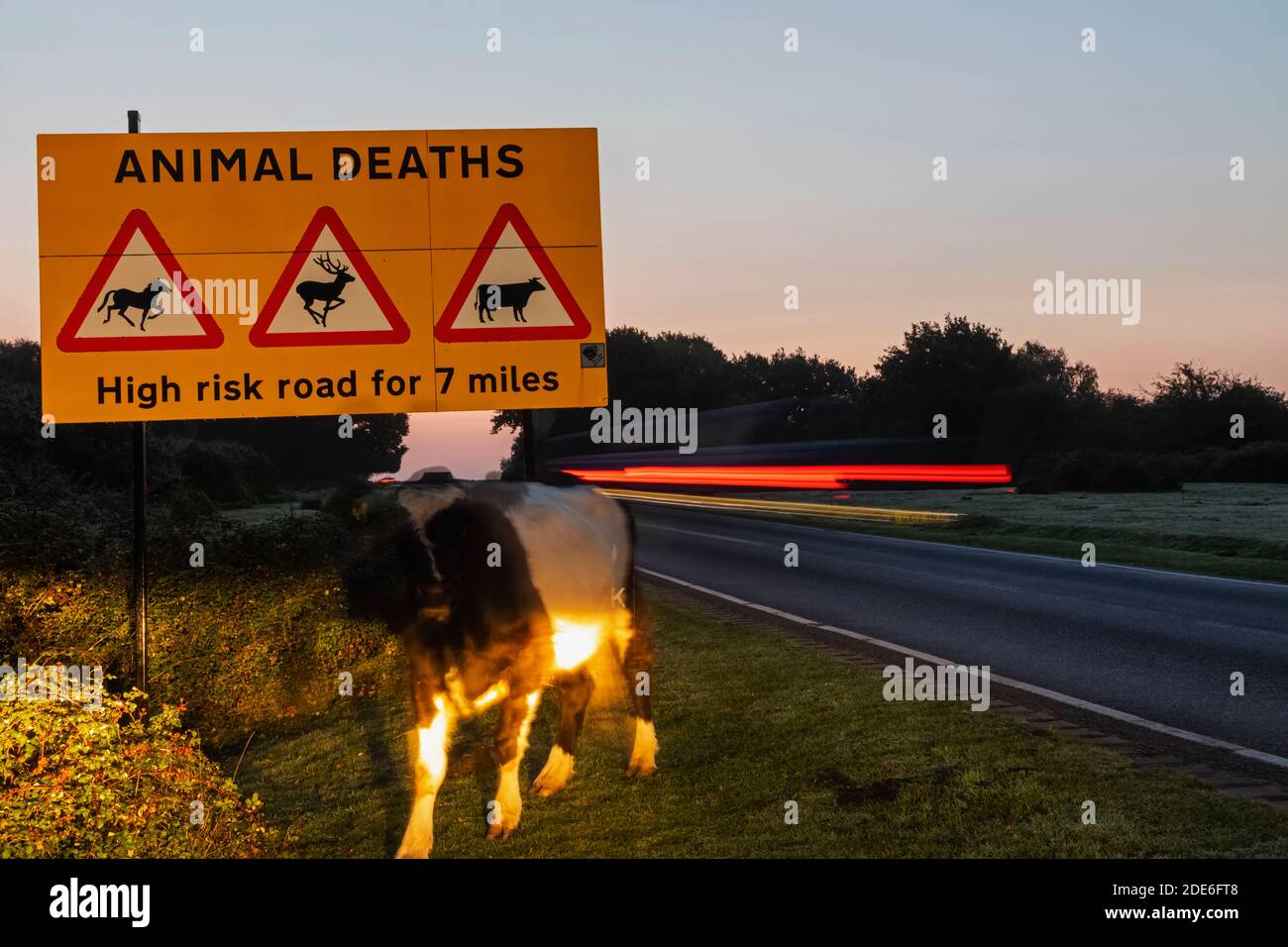 England, Hampshire, New Forest, Roadside Animal Warning Sign Stock Photo