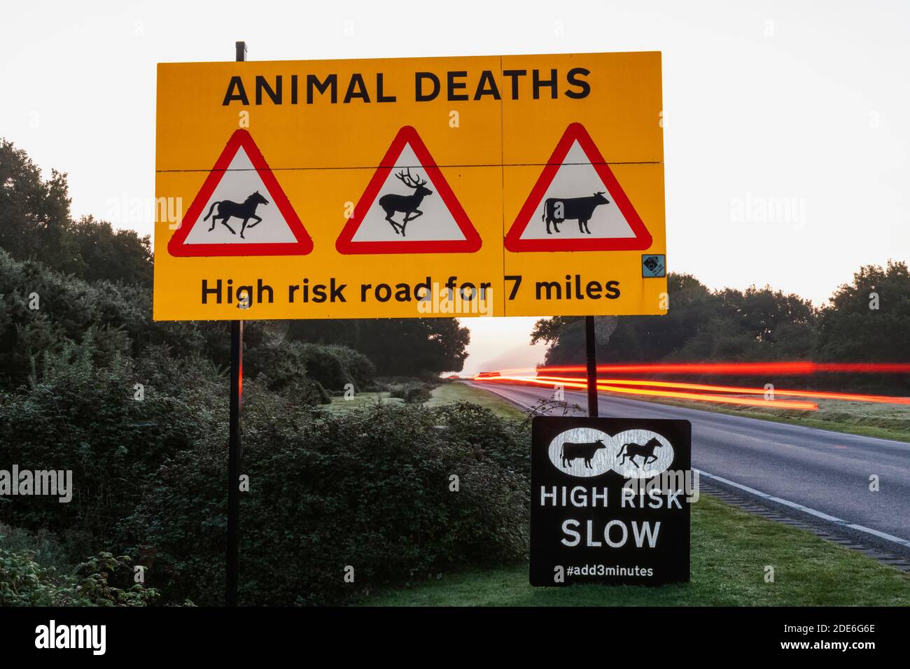 England, Hampshire, New Forest, Roadside Animal Warning Sign Stock Photo