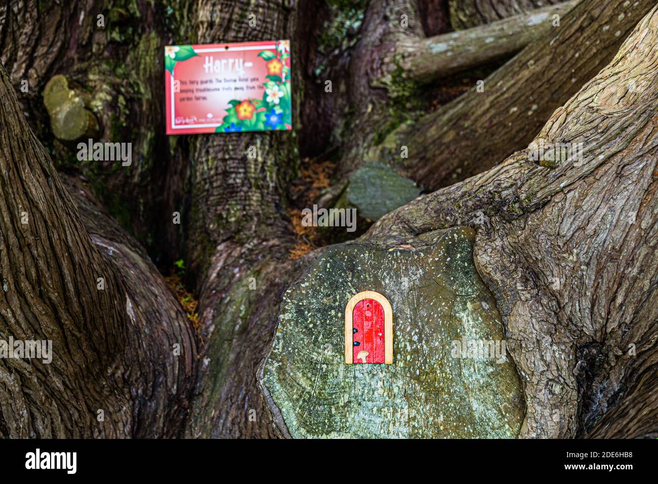 The park-like grounds of the five-star Dunloe Hotel & Gardens extend near Killarney, County Kerry, Ireland, amid mature trees and dense greenery. Stock Photo