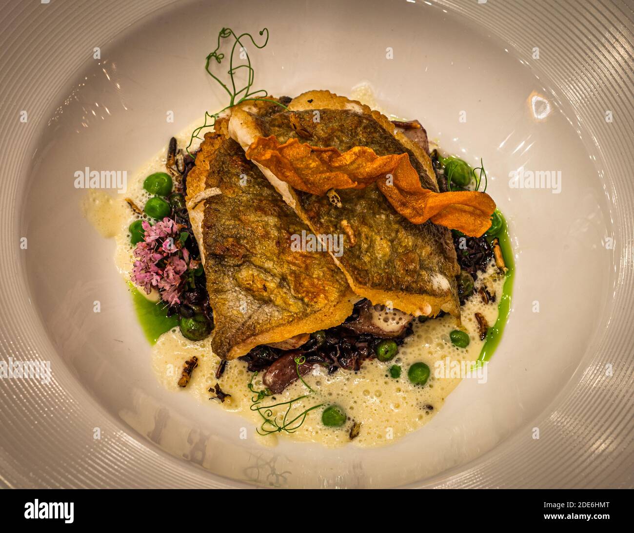 Extremely crispy St. Peter's fish, called John Dory in English, served with black rice risotto with artichoke bottoms, peas and white wine sauce. Restaurant Dish in The Dunloe Hotel near Killarney, Ireland Stock Photo
