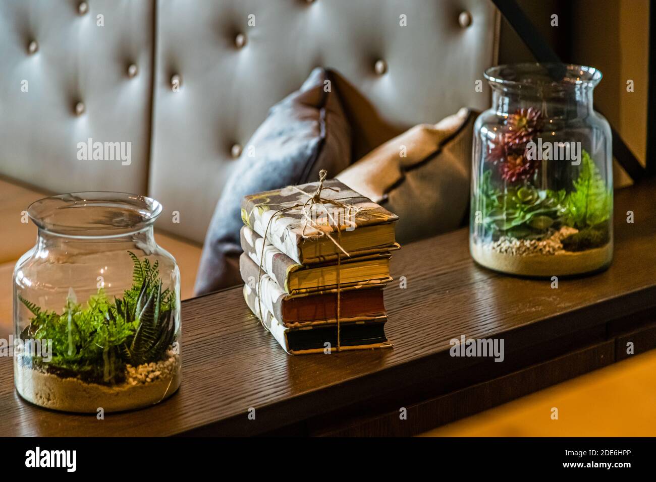 Glass terrarium jars planted with ferns and succulents, alongside a string-tied stack of books, decorate a shelf in the tower library at the Dunloe Hotel & Gardens near Killarney, Ireland. Stock Photo