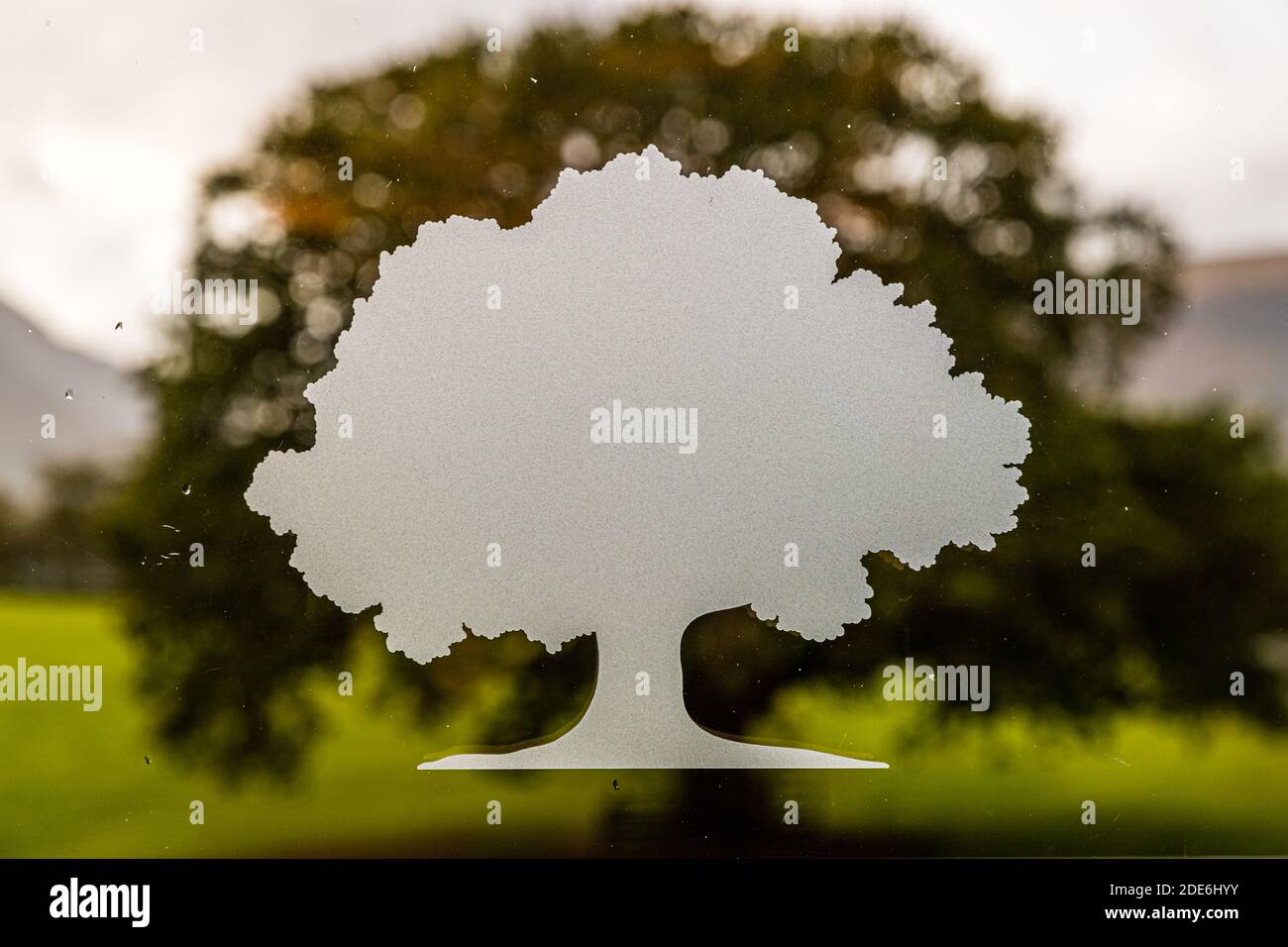 An oak tree is etched as the hotel's logo motif into a window of the five-star Dunloe Hotel & Gardens near Killarney, County Kerry, Ireland. The real oak that inspired the design is visible on the grounds behind it. Stock Photo
