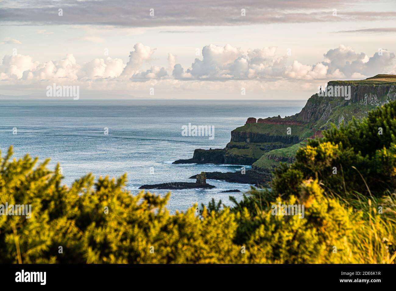 Steep cliffs and a small rock stack line the coast near Bushmills, County Antrim, Northern Ireland, with gorse growing in the foreground. Stock Photo
