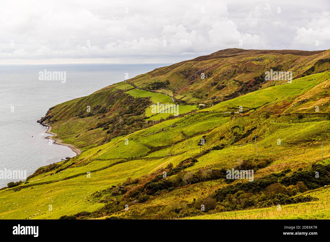 Wide pastureland slopes down to the sea along the coast near Ballycastle, County Antrim, Northern Ireland, crossed by stone walls with scattered sheep on the hillside. The photo was taken on Torr Road. Stock Photo