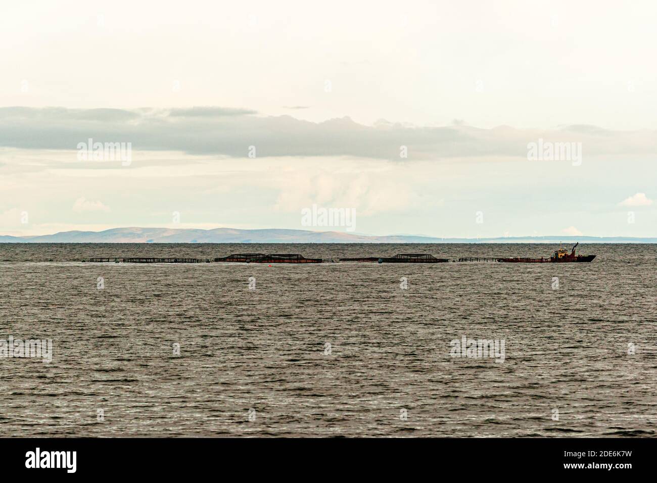 Seaweed harvest off the coast of Northern Ireland, photographed along the Torr Road between Ballycastle and Cushendun, with a view across the long, floating cage-like structure and the work boat beside it towards the hills of the opposite shore. Stock Photo