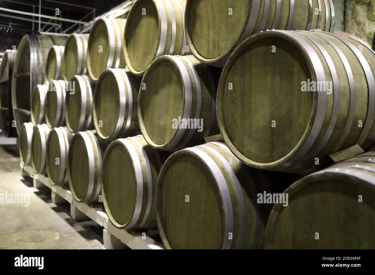 Row of oak barrels at a winery Stock Photo - Alamy