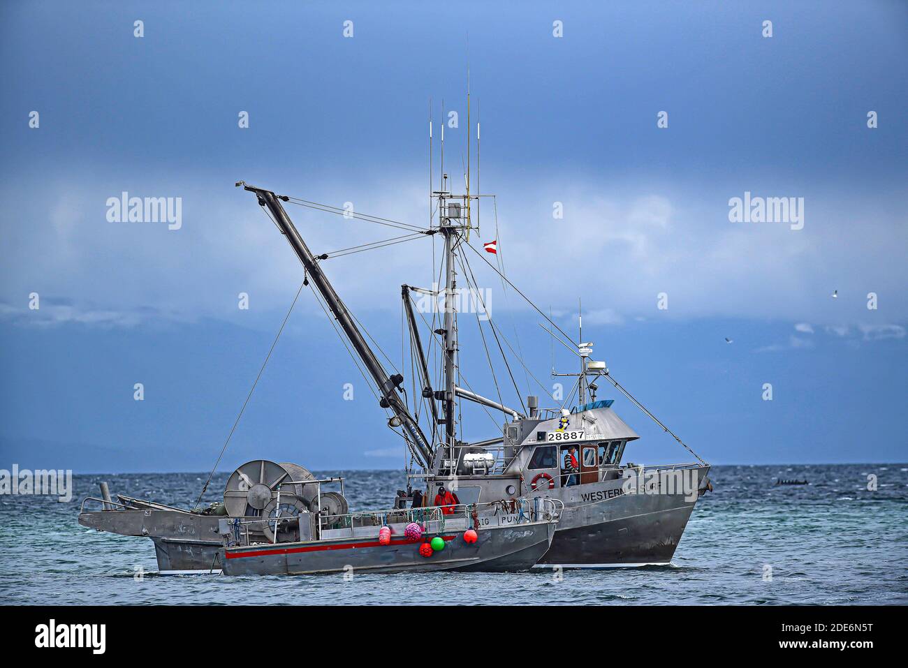 Canadian aluminium built herring fishing boat 'Western Surf' and tender on the Salish Sea near Nanaimo, Vancouver Island. Stock Photo