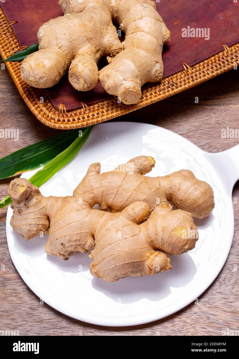 Fresh organic ginger rhizome root used in traditional medicines and for flavoring meals, drinks