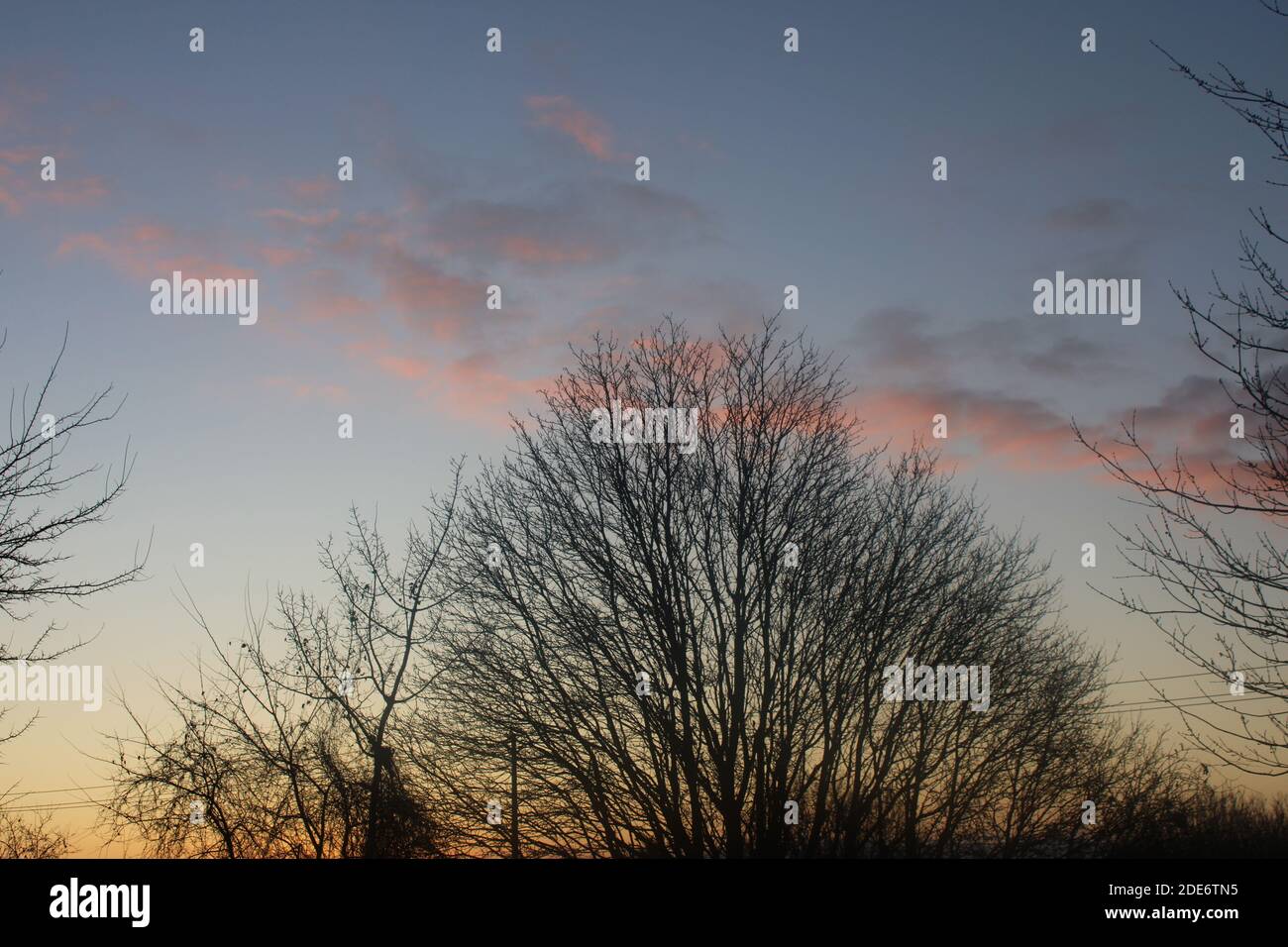 Shadowed tree in front of beautiful skies with red and blue Stock Photo ...