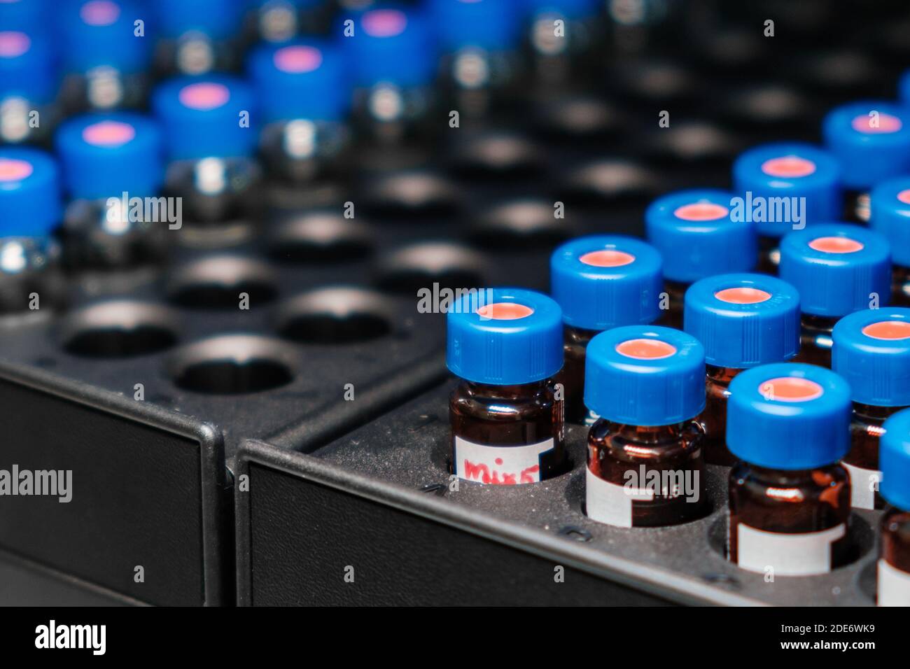 HPLC glass vials in the rack. Research and development of