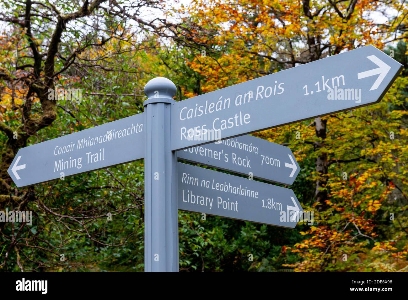 Walking in Killarney fingerpost direction sign for Ross Castle Library Point and the Mining Trail in Killarney National Park, County Kerry, Ireland Stock Photo