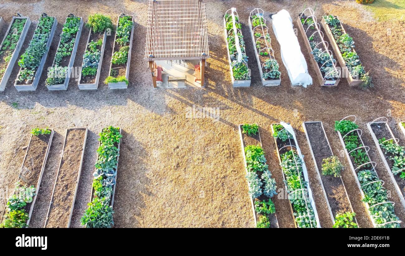 Top view community garden with pergola and row of raised planting beds in Dallas, Texas, USA