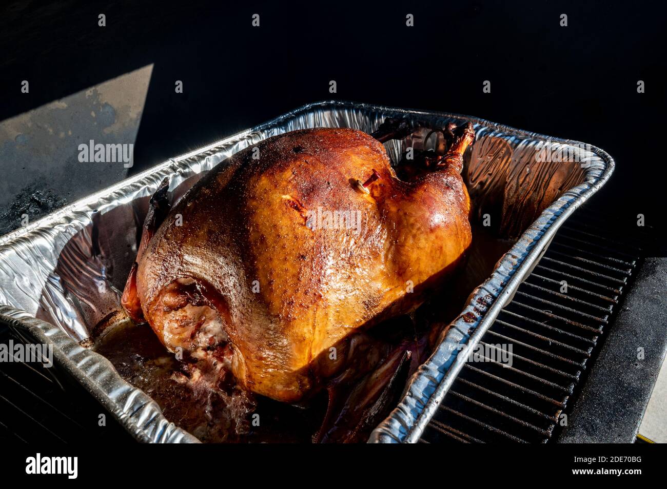 Turkey poultry roast with meat thermometer measuring temperature at  Thanksgiving Stock Photo - Alamy