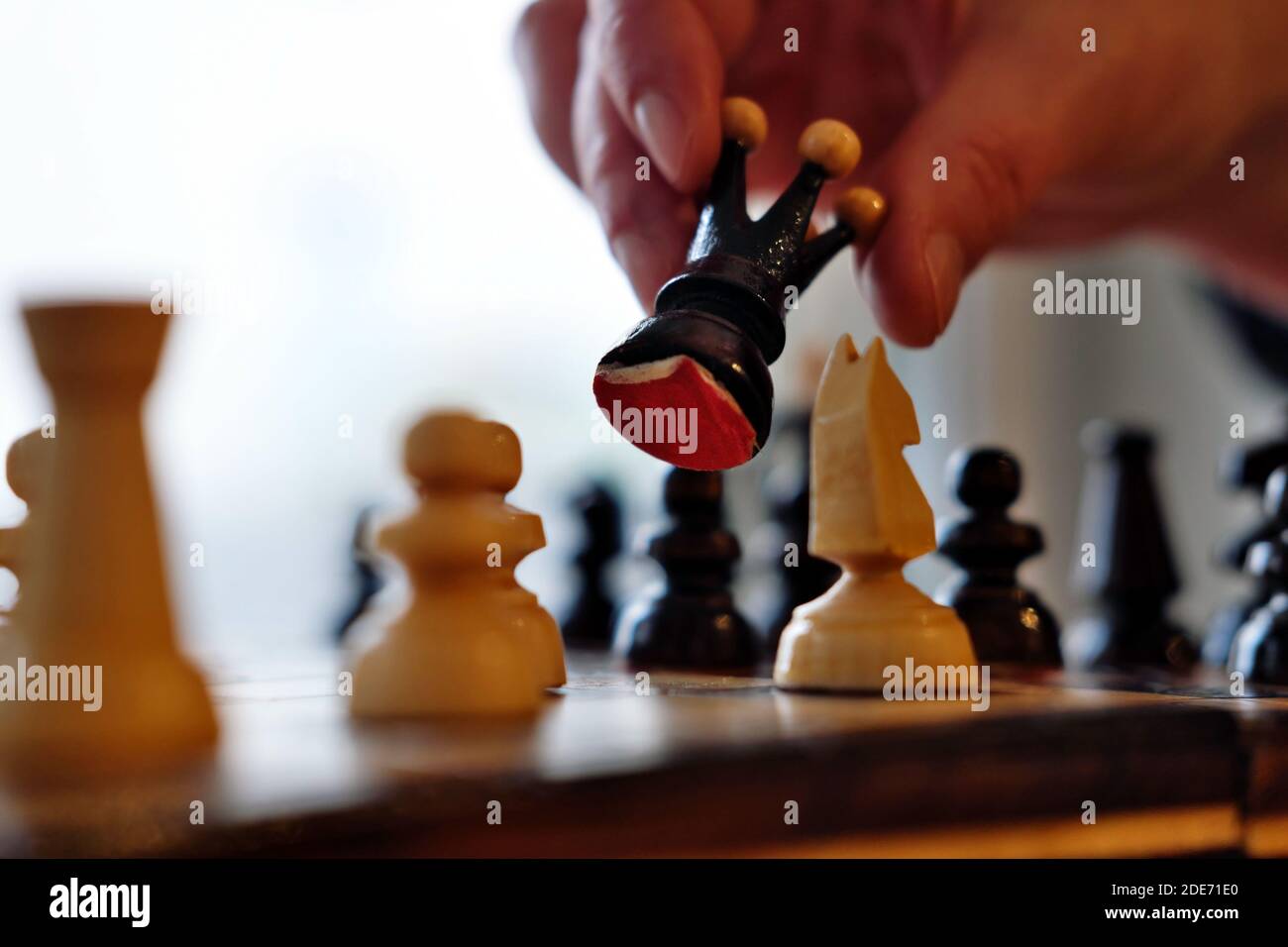 Faby-Chess : Activity •