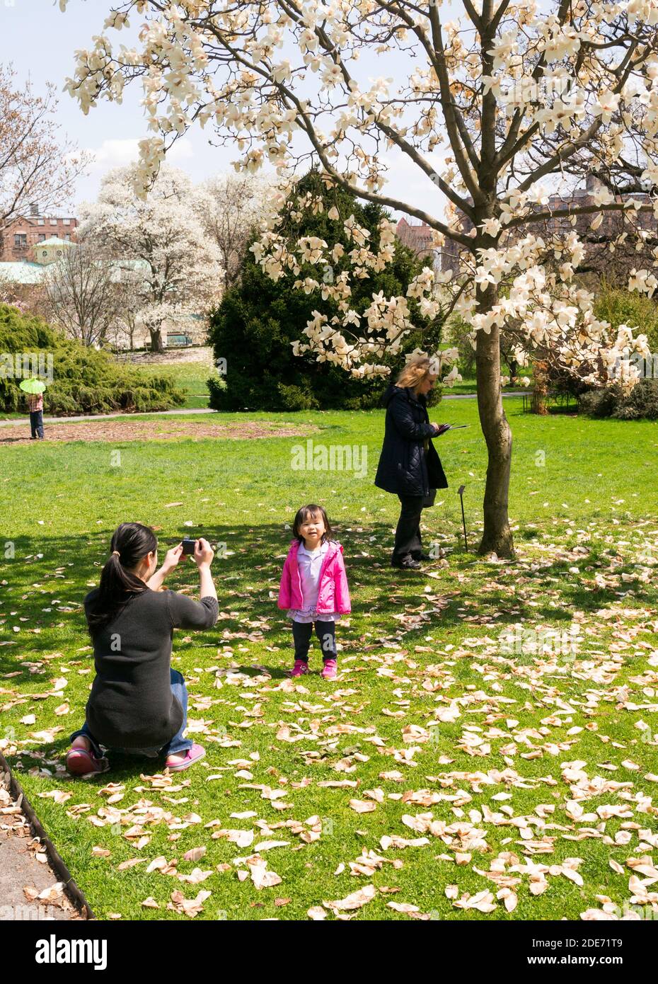 Mother taking photo of young daughter in Brooklyn Botanic Garden, New York, USA Stock Photo