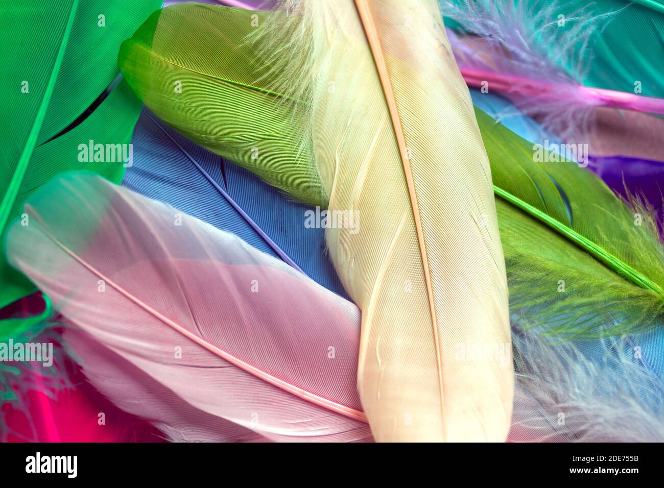Pile of the colorful artificial feathers Stock Photo Alamy