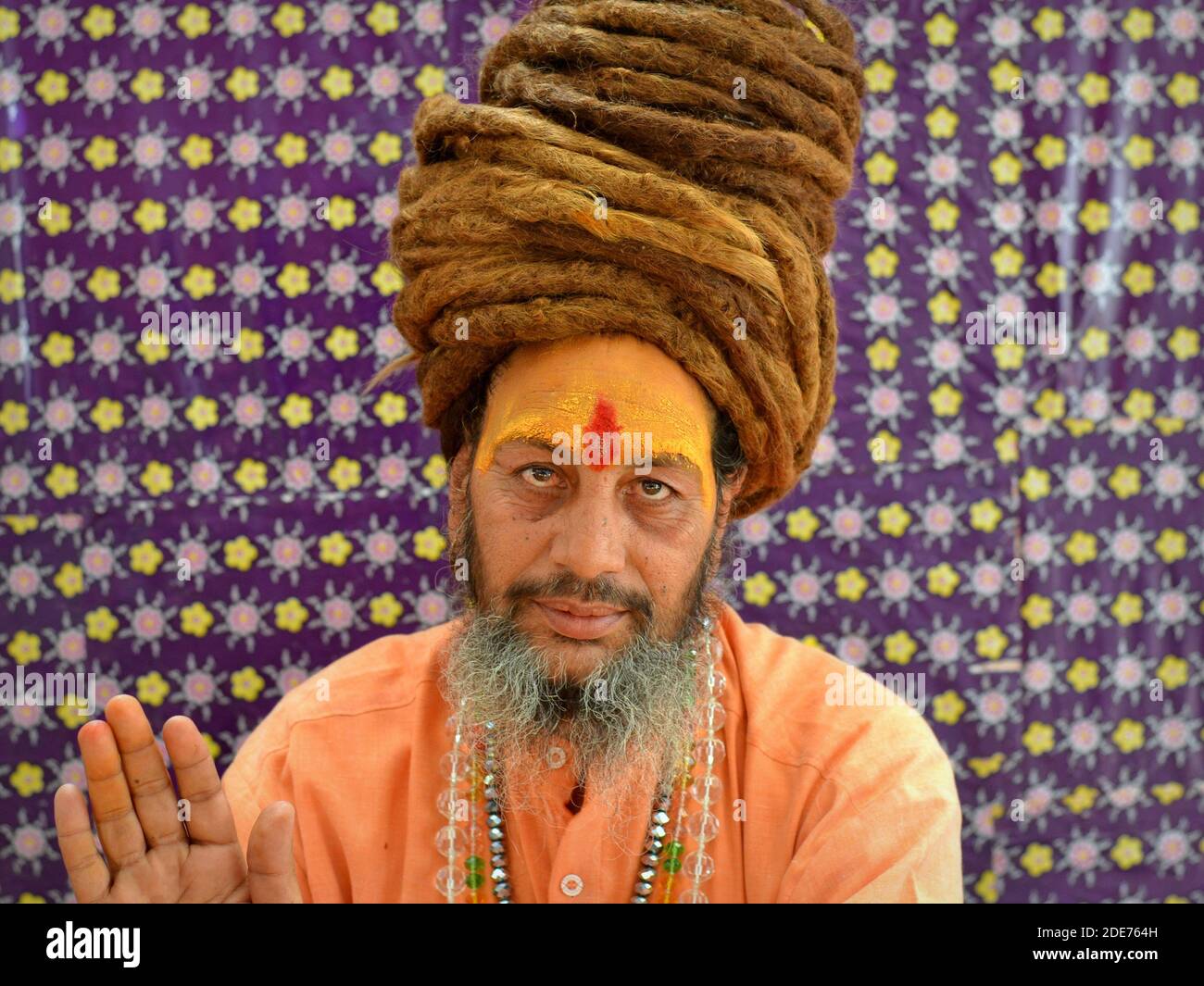 Indian Hindu holy man (sadhu, baba, guru) with big rolled-up dreadlocks and yellow forehead poses for the camera during the Shivratri Mela festival. Stock Photo