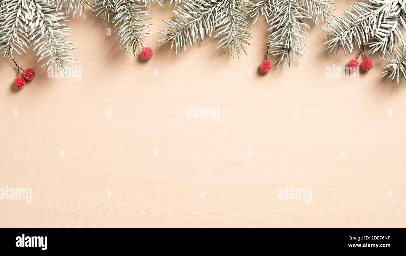Christmas frame top border made of fir tree branches and red berries on ...