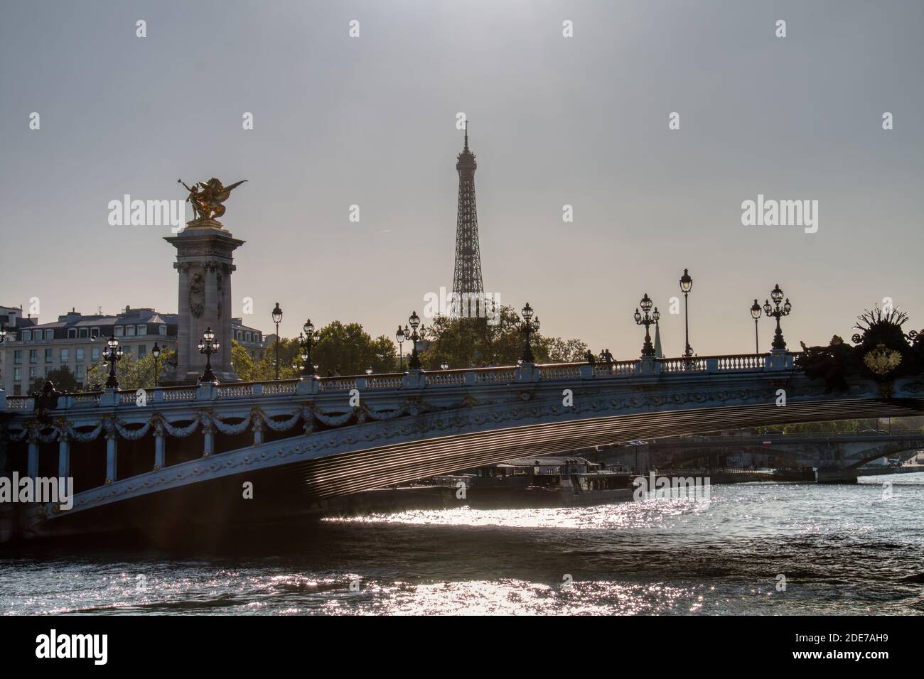 Nice landscape in Paris, France. Sunset at the Alexander III bridge over the Seine river and the Eiffel Tower in the background Stock Photo