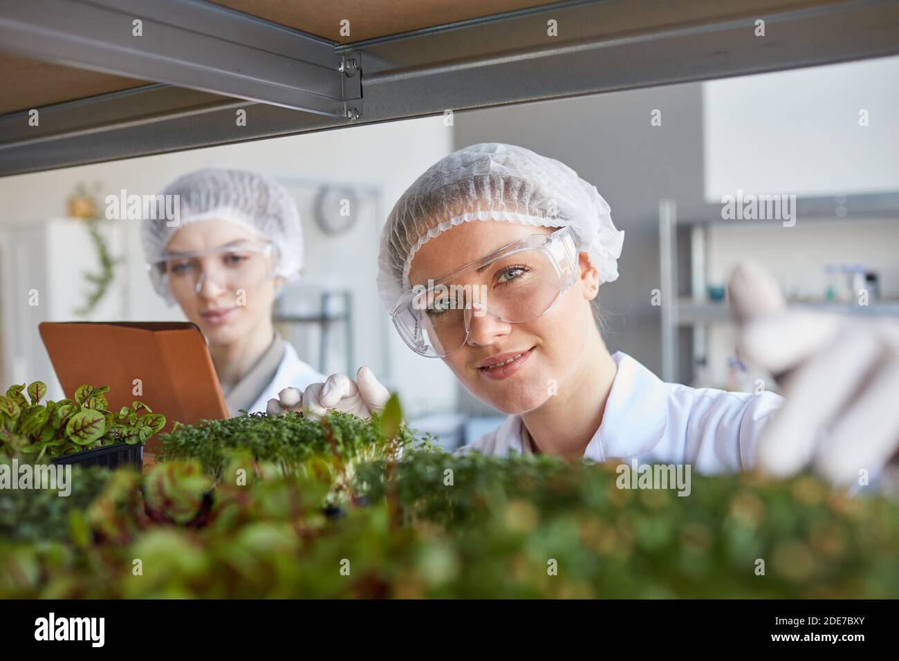 Portrait of two smiling female scientists examining plant samples while working in biotechnology lab, copy space Stock Photo